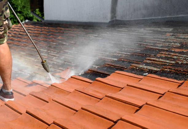 Best Affordable Power Washing  in Vancleave, MS