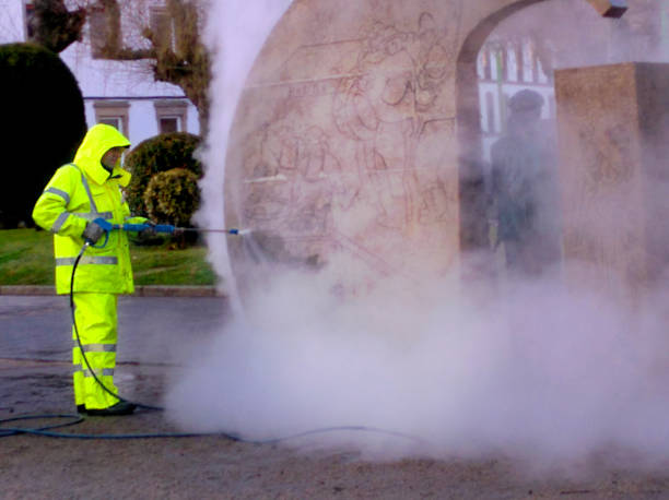 Best Roof Pressure Washing  in Vancleave, MS